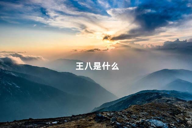 王八是什么