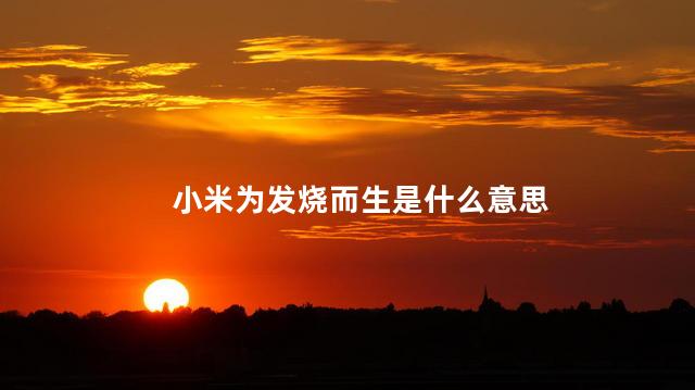 小米为发烧而生是什么意思
