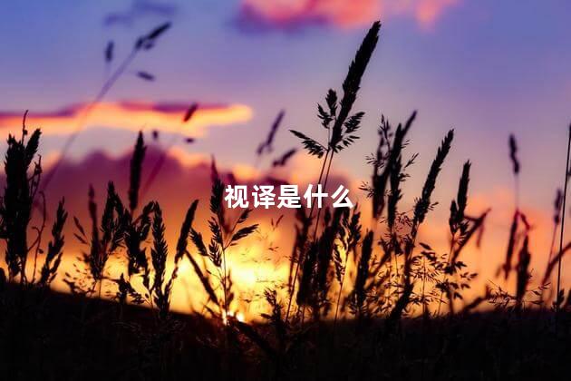 视译是什么