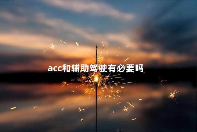 acc和辅助驾驶有必要吗