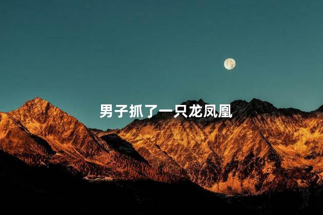 男子抓了一只龙凤凰