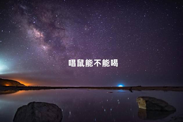 唱鼠能不能喝