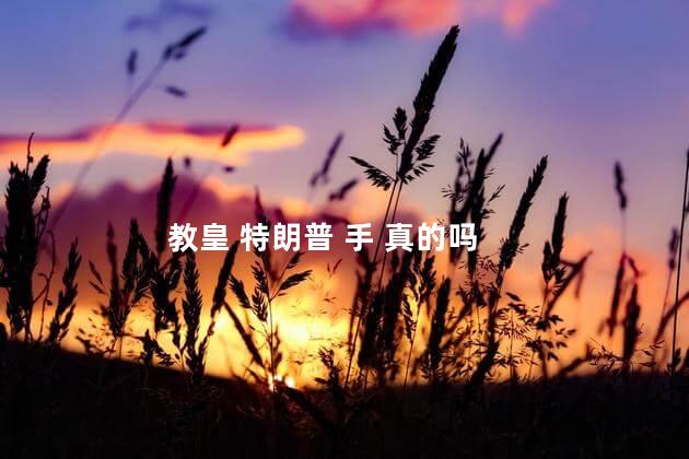 教皇 特朗普 手 真的吗