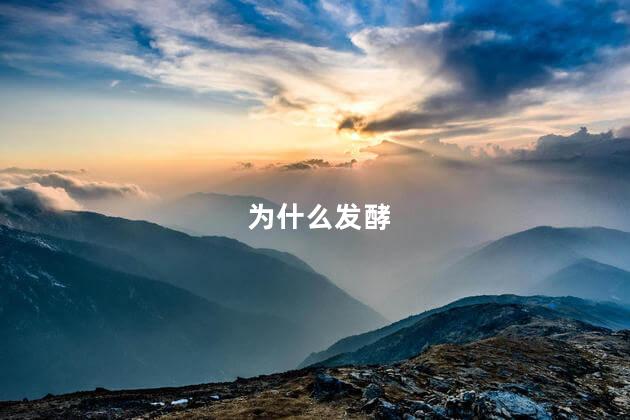 为什么发酵