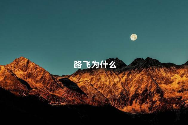 路飞为什么