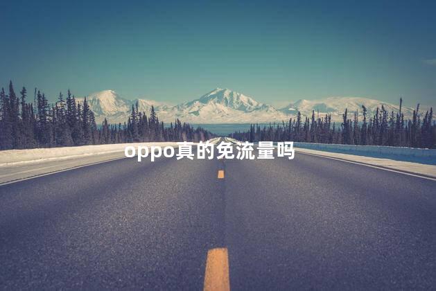oppo真的免流量吗