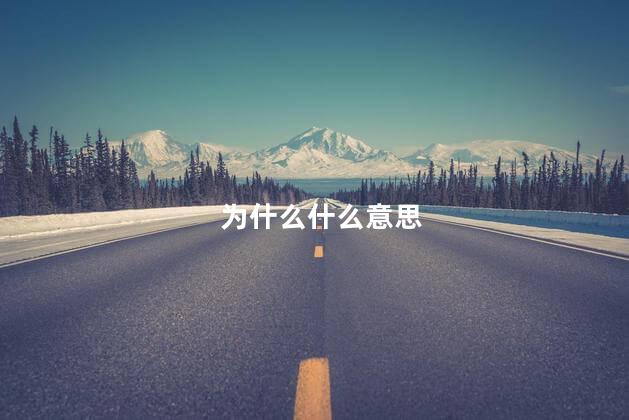 为什么什么意思