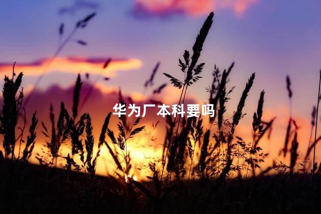 华为厂本科要吗