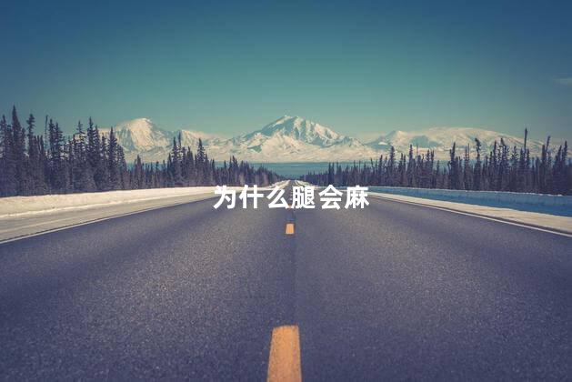 为什么腿会麻