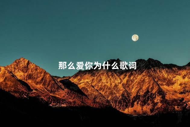 那么爱你为什么歌词