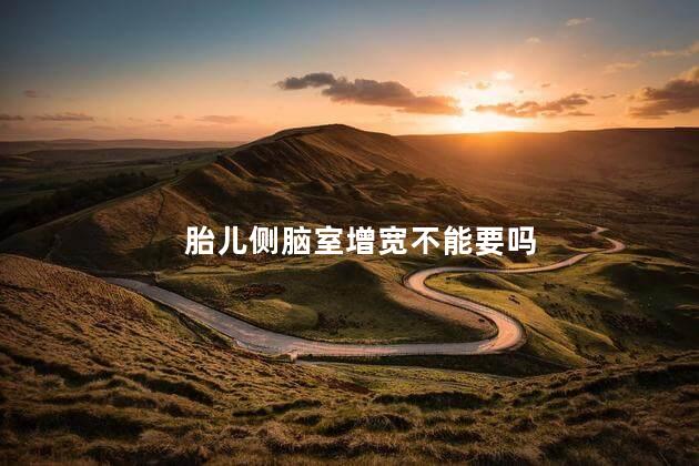 胎儿侧脑室增宽不能要吗