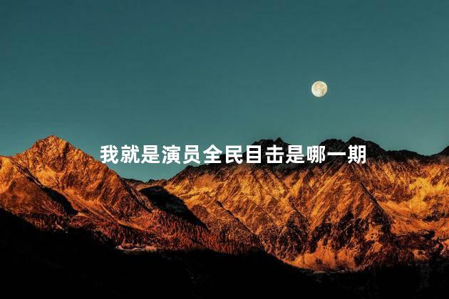 我就是演员全民目击是哪一期