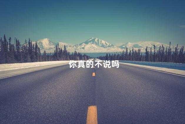 你真的不说吗