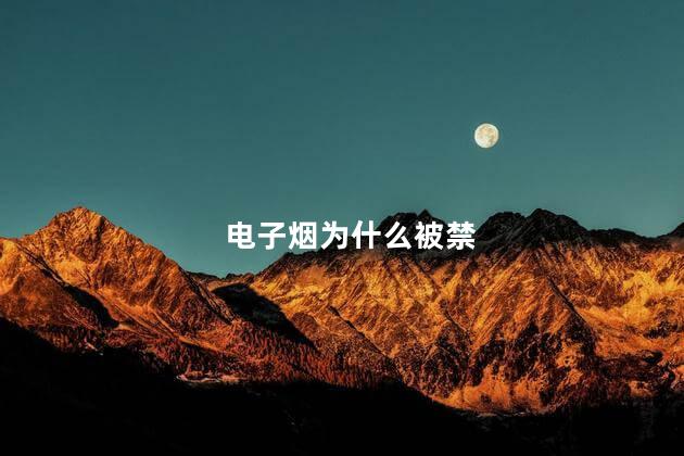 电子烟为什么被禁