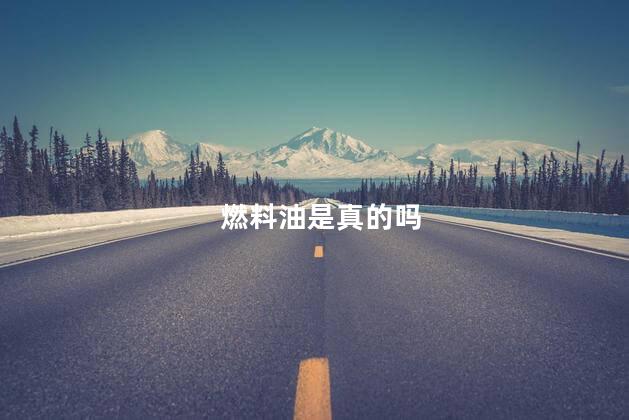 燃料油是真的吗