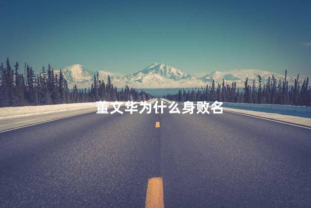 董文华为什么身败名