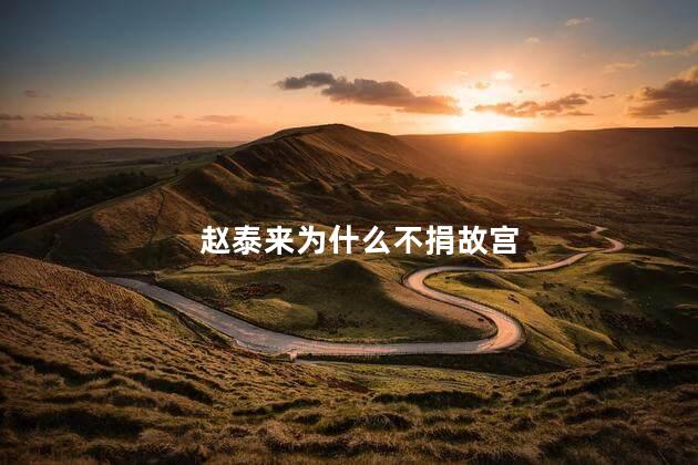 赵泰来为什么不捐故宫