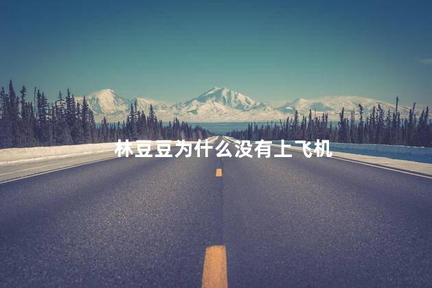 林豆豆为什么没有上飞机