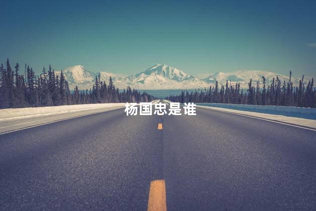 杨国忠是谁