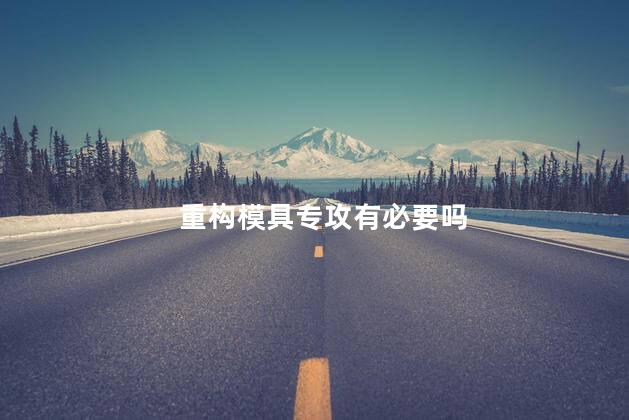 重构模具专攻有必要吗