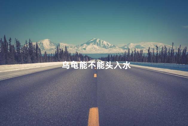 乌龟能不能头入水