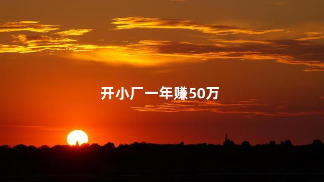 开小厂一年赚50万