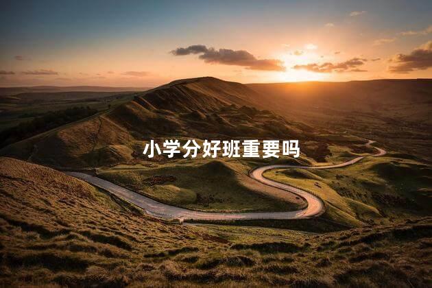 小学分好班重要吗