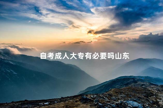 自考成人大专有必要吗山东