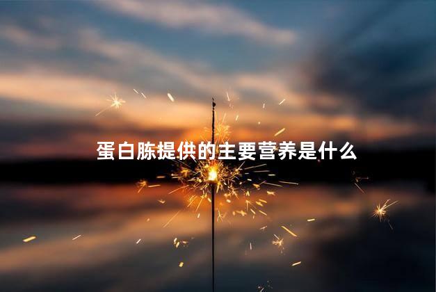 蛋白胨提供的主要营养是什么