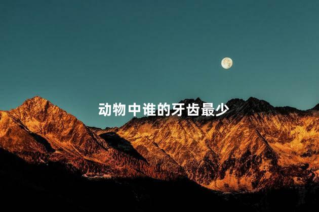 动物中谁的牙齿最少