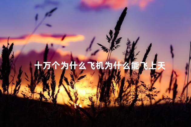 十万个为什么飞机为什么能飞上天