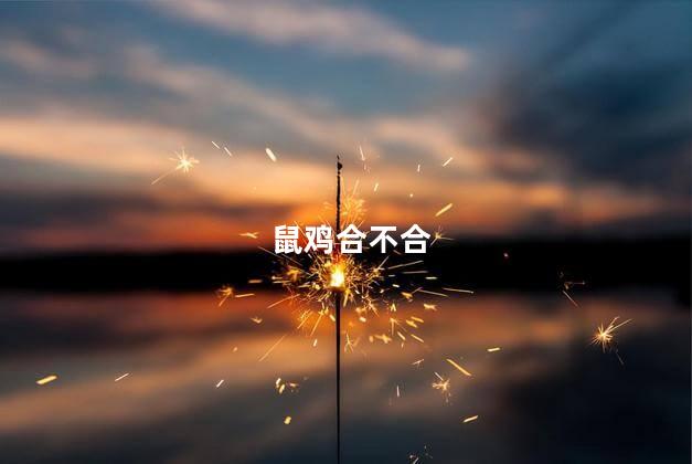 鼠鸡合不合