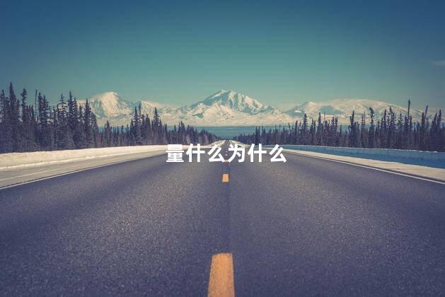 量什么为什么