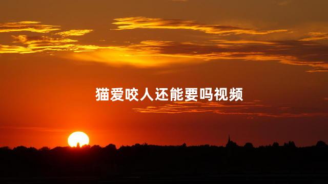 猫爱咬人还能要吗视频