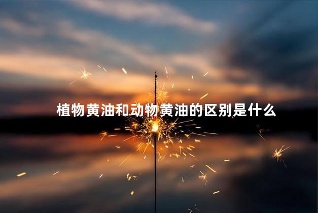 植物黄油和动物黄油的区别是什么
