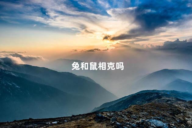 兔和鼠相克吗