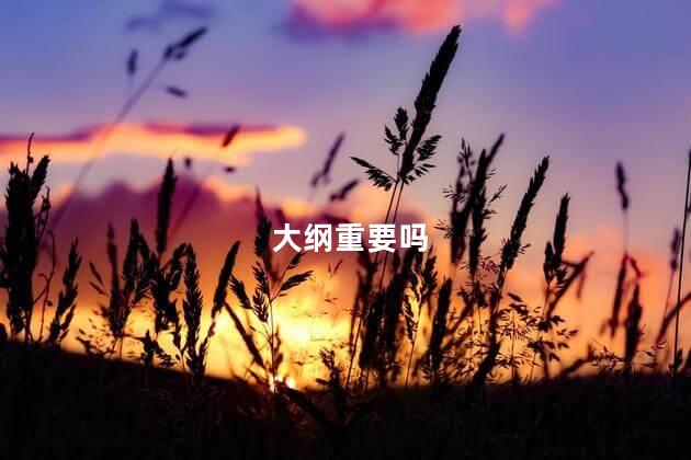大纲重要吗