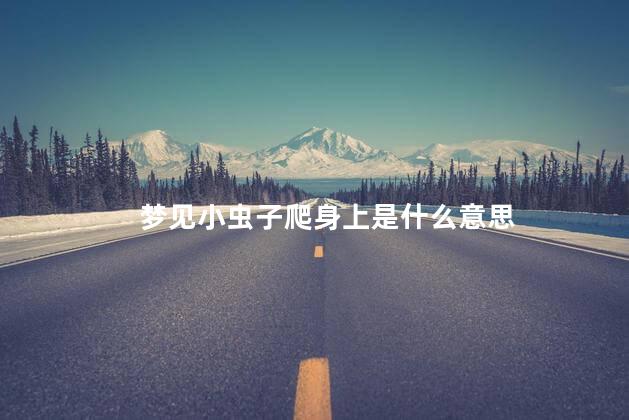 梦见小虫子爬身上是什么意思