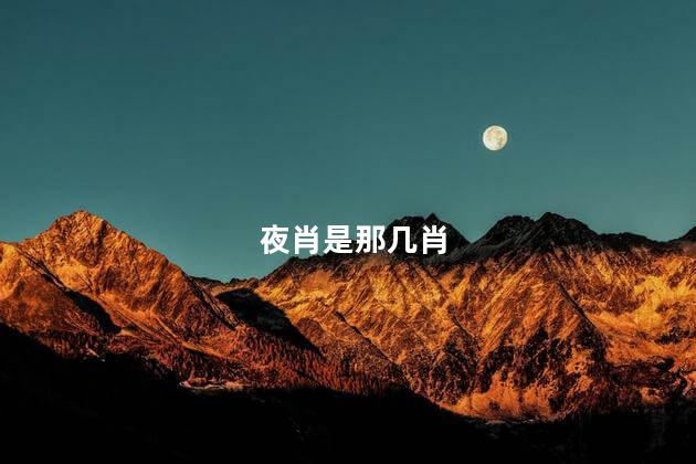 夜肖是那几肖
