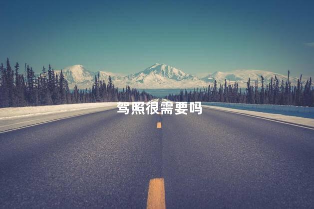 驾照很需要吗