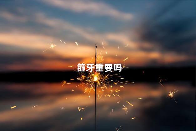 箍牙重要吗