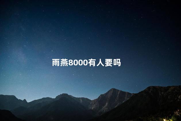 雨燕8000有人要吗