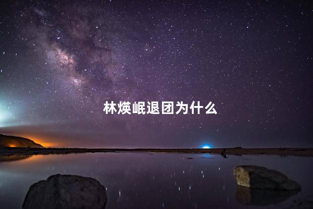 林煐岷退团为什么