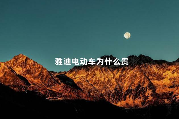 雅迪电动车为什么贵