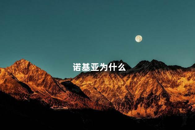 诺基亚为什么