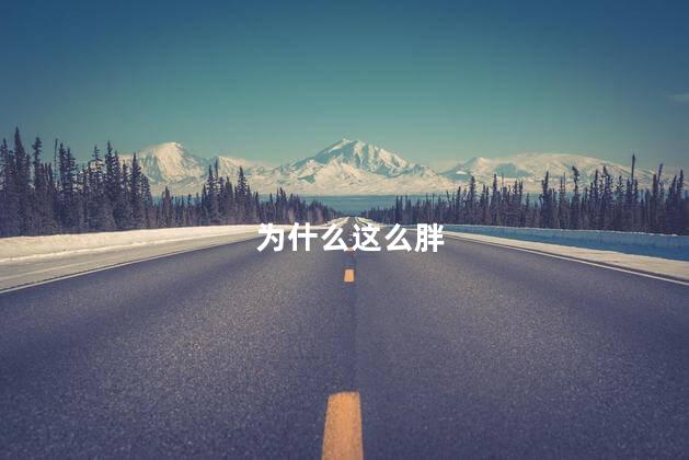 为什么这么胖
