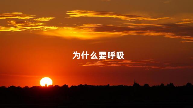 为什么要呼吸
