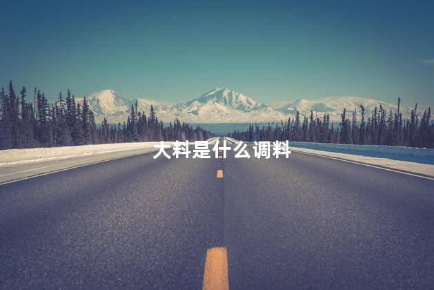 大料是什么调料