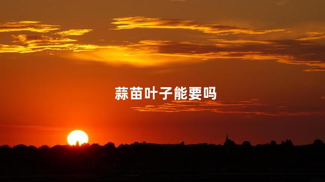 蒜苗叶子能要吗