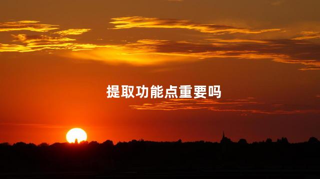 提取功能点重要吗